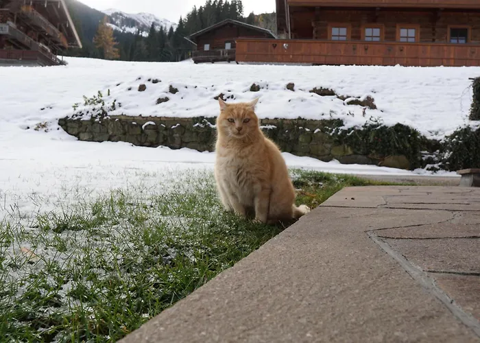 Thumerhof * Reith im Alpbachtal