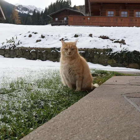 Thumerhof * Reith im Alpbachtal